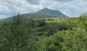 Trail Walking Ceyssat - Du Puy-de-Dôme au Pariou - Photo 19