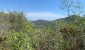 Percorso Marcia Ascain - Col de la Rhune - Photo 5