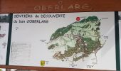 Randonnée Marche Oberlarg - Oberlarg - sa grotte - la ferme des Ebourbettes - le château de Morimont - Photo 1