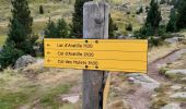 Percorso Marcia Cauterets - Refuge Wallon Marcaudo Pont d'Espagne - Photo 3