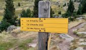 Trail Walking Cauterets - Refuge Wallon Marcaudo Pont d'Espagne - Photo 3