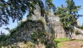 Tour Wandern Pfirt - Ferrette ,château, grotte des nains,rossberg - Photo 4