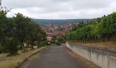 Tour Wandern Rosheim - Le vignoble de Rosheim - Photo 5