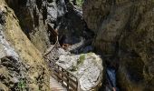 Tour Zu Fuß Wörschach - Wörschachklamm - Ruine Rundweg - Photo 2