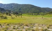 Tocht Mountainbike Thorame-Basse - Le Tour des Villages - Photo 5