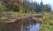 Randonnée Marche Florenville - Les Epioux 311023 - Photo 9