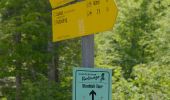 Trail On foot Ruhpolding - Wanderweg 30 (Laubau - Staubfall) - Photo 2