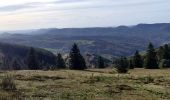 Trail Horseback riding Barembach - 2022-10-30 Journée Rothau Struthof Serva Perheux - Photo 8