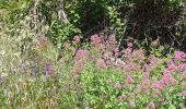 Tour Wandern Le Castellet - Sainte Anne du Castellet - Photo 7