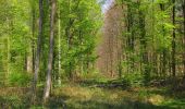 Tocht Stappen Longpont - en forêt de Retz_77_Longpont_Puiseux en Retz_AR - Photo 11