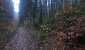 Randonnée Marche Stoumont - 10km sous la pluie autour de Lorcé - Photo 5