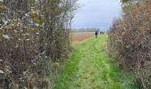 Tocht Stappen Beauraing - Pondrôme 23 km - Photo 8