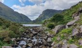 Tocht Stappen Kenmare Municipal District - Parc National Killarney - Photo 1