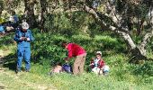 Randonnée Marche La Crau - Fenouillet Hyères - Photo 14