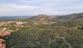 Tour Wandern Corbère - Corbere&St-Michel-de-Llotes_T - Photo 17