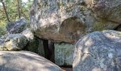 Tocht Stappen Fontainebleau - Fontainebleau sentier Denecourt Colinet 4 - Photo 15