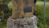 Excursión Senderismo Oberlarg - Oberlarg - sa grotte - la ferme des Ebourbettes - le château de Morimont - Photo 12