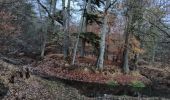 Tocht Stappen Fontainebleau - maison forestière Bois le roi 1er décembre 2023 - Photo 2