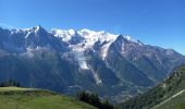 Randonnée Marche Chamonix-Mont-Blanc - Les Lacs Noirs 10.7.22 - Photo 19