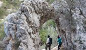 Excursión Senderismo Ollioules - Destel  avec les Seynois - Photo 4