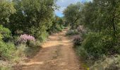 Tocht Stappen Aniane - Plateau Montcamès - Photo 13