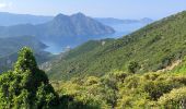 Randonnée Marche Osani - 20210610 de Girolata à Galeria  - Photo 5