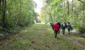 Excursión Senderismo Clavier - Saint-Fontaine - Ossogne - Photo 11