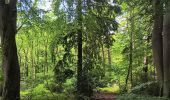 Trail Walking Seraing - bois de la vequée par les petits chemins (version courte) - Photo 14
