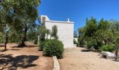 Tour Wandern Ostuni - Ostini  - Photo 6