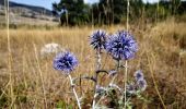 Randonnée Marche Aubignosc - CR_Domitia_BL_10_Aubignosc_Sisteron_20160912 - Photo 3