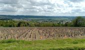 Percorso Marcia Château-Thierry - Les Vignes Castelles trace du 28-04-2024 - Photo 8