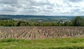 Tour Wandern Château-Thierry - Les Vignes Castelles trace du 28-04-2024 - Photo 8