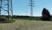 Tour Zu Fuß Castrop-Rauxel - Naturpfad Langeloh - Photo 2