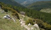 Trail Walking Saint-Jurs - col de jurs vers montdenier - Photo 4