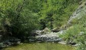 Percorso A piedi Bagno di Romagna - IT-161 - Photo 2