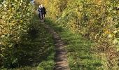 Tocht Stappen Olne - Balade des jonquilles Olne - Photo 1