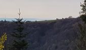 Excursión Senderismo Lepuix - Ballon d'Alsace - cascade et lac d'Alfeld - Photo 5