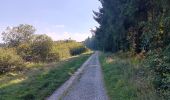 Tocht Stappen Waimes - autour de botrange et du bois de sourbrodt - Photo 17