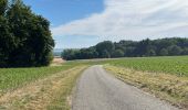 Tour Wandern Ormoy-le-Davien - 140722 - Ormoy le Davien - Etan de Wallu - Photo 14