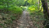 Tocht Stappen La Ferrière - La Ferrière - Photo 10