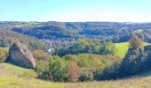 Tour Wandern Comblain-au-Pont - Comblain-au-Pont d´une rive à l´autre - Photo 16