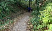 Trail Walking Kluisbergen - 20221102 Kwaremont 11 km wa 12,7 km - Photo 10