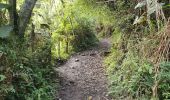 Randonnée Marche Baños de Agua Santa - Baños - Casa del Arbol - Photo 3