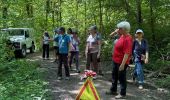 Trail  Yerres - BM boucle 2 rivières - Photo 4