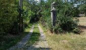 Trail Walking Saint-Jean-du-Gard - St jean du Gard - grotte de Rouville - Photo 12