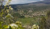 Tocht Stappen Aubignosc - Boucle des Canayons depart Aubignosc  390 + - Photo 4