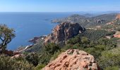 Trail Walking Saint-Raphaël - Cap Roux par l'Est depuis la gare du Trayas - Photo 11