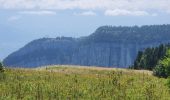 Trail Walking Autrans-Méaudre en Vercors - sure and co - Photo 11