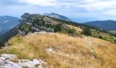 Trail Walking Entremont-le-Vieux - 29 juillet 2023 mont Pinet et rocher de la Fita  - Photo 3