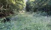 Randonnée Marche Rethondes - en Forêt de Laigue, 04_07_2025_sur les Routes du Grand Octogone, du Plessis-Brion, de Sainte-Croix, du Petit Octogone et de la Belle Assise - Photo 16
